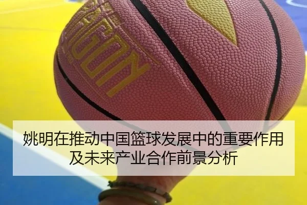姚明在推动中国篮球发展中的重要作用及未来产业合作前景分析